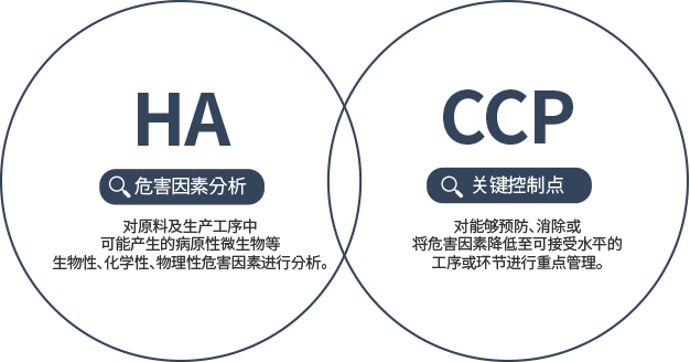 Company Image 1